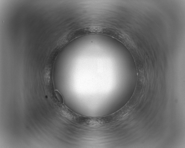 X0000073870697200608312053