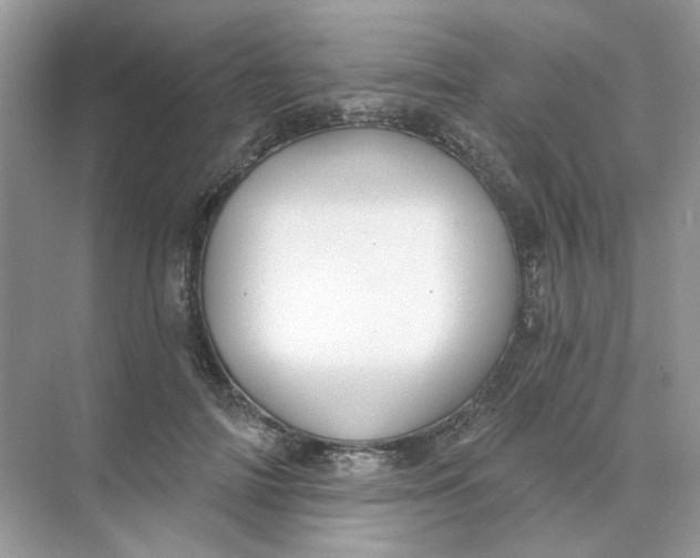 X0000073870698200608312053