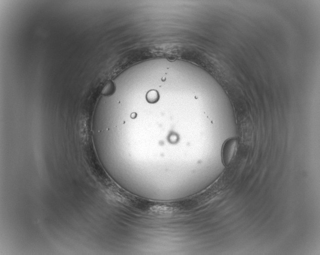 X0000073870699200608312053