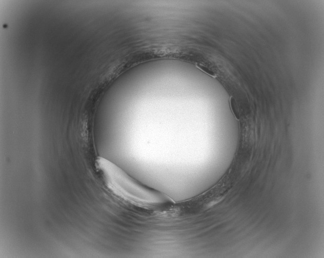 X0000073870700200608312053