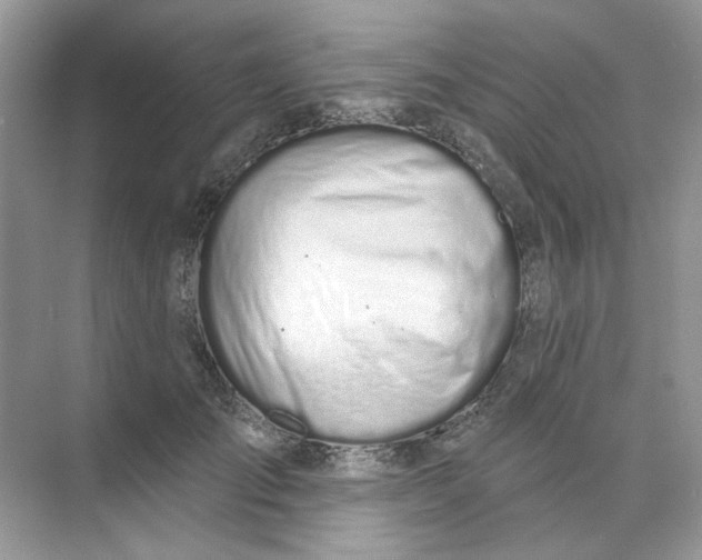 X0000073870701200608312053