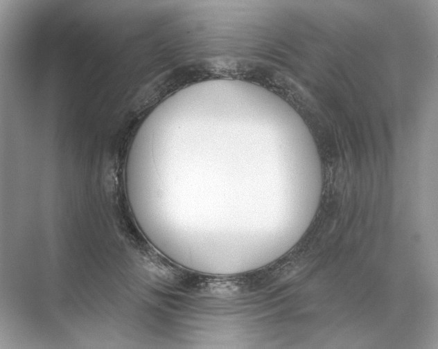 X0000073870702200608312053