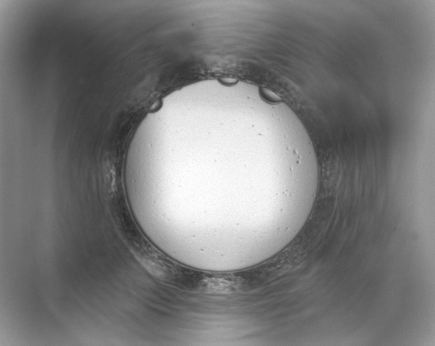 X0000073870703200608312053