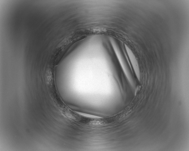 X0000073870704200608312053