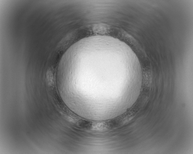 X0000073870705200608312053