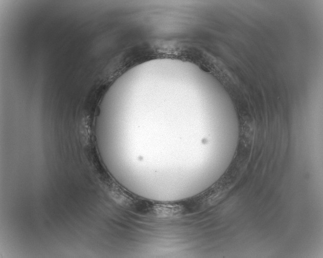 X0000073870707200608312053