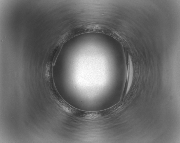 X0000073870708200608312053