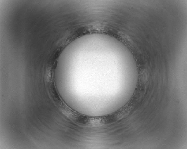 X0000073870709200608312052