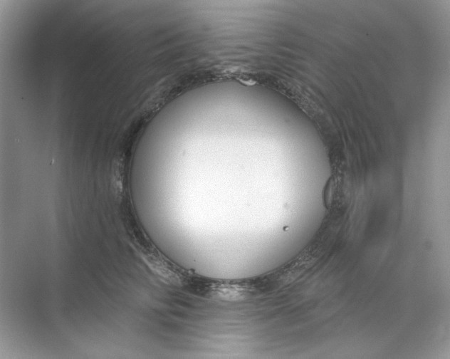 X0000073870710200608312052