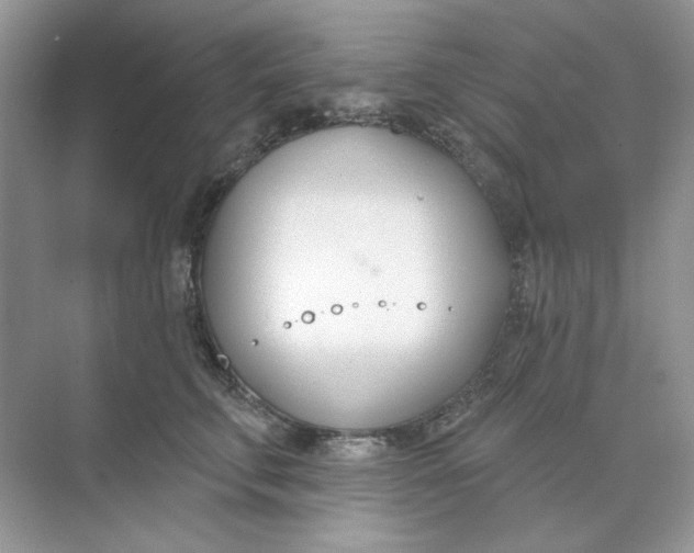 X0000073870711200608312052