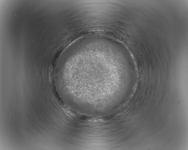 X0000073870712200608312052