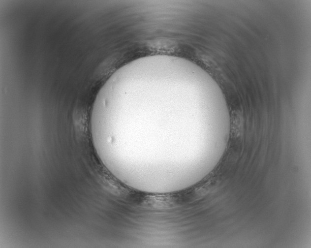 X0000073870713200608312052