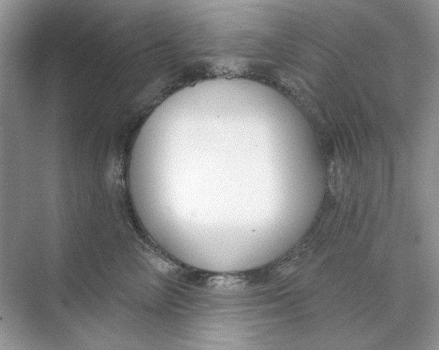 X0000073870714200608312052