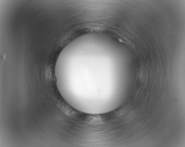 X0000073870715200608312052