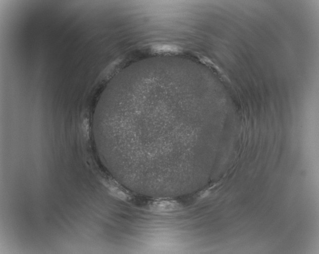 X0000073870716200608312052