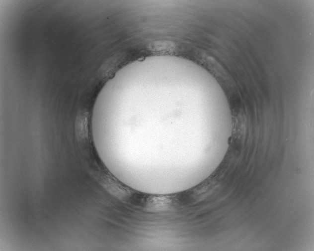 X0000073870717200608312052