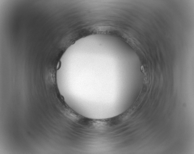 X0000073870718200608312052