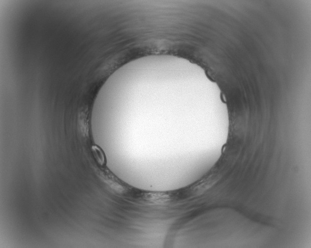 X0000073870719200608312052