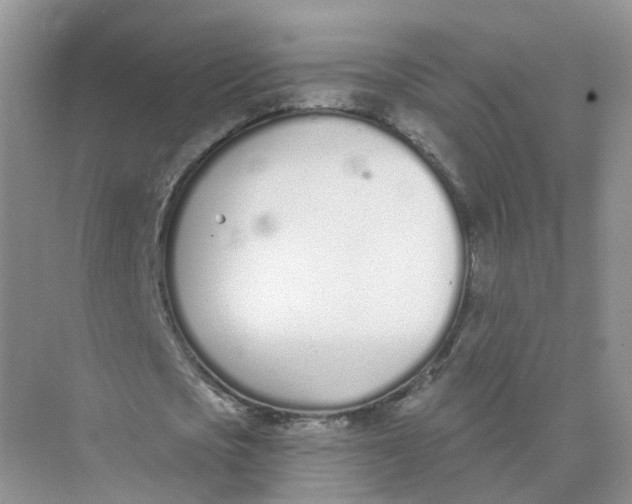 X0000073870721200608312052