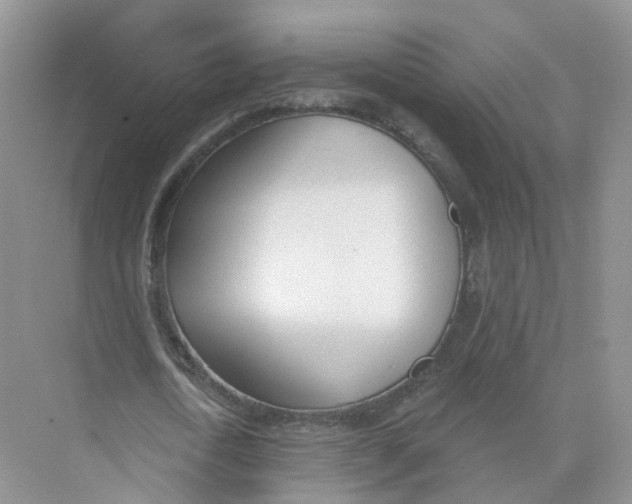 X0000073870722200608312052