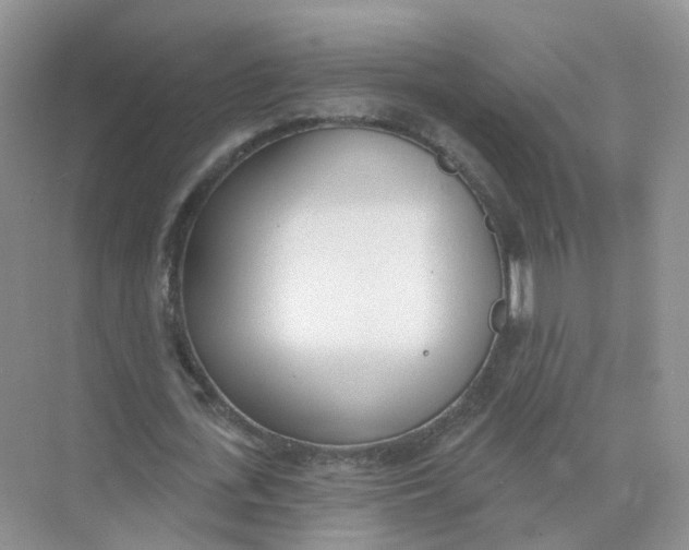 X0000073870723200608312052