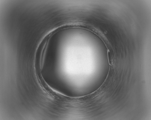 X0000073870724200608312052