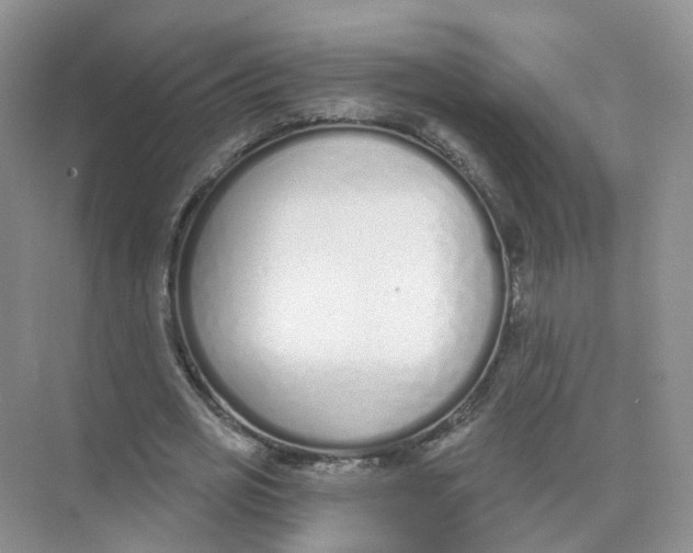 X0000073870725200608312052