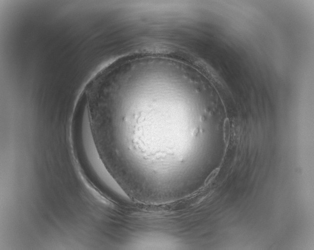 X0000073870726200608312052