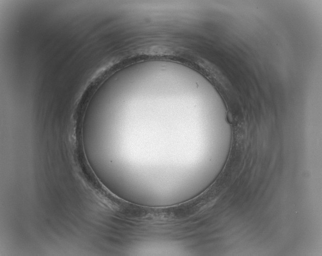 X0000073870727200608312052