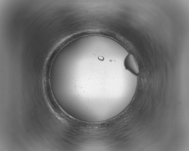 X0000073870728200608312052