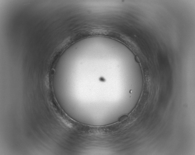 X0000073870729200608312052