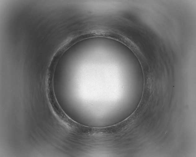 X0000073870730200608312052