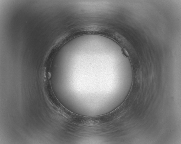 X0000073870731200608312052