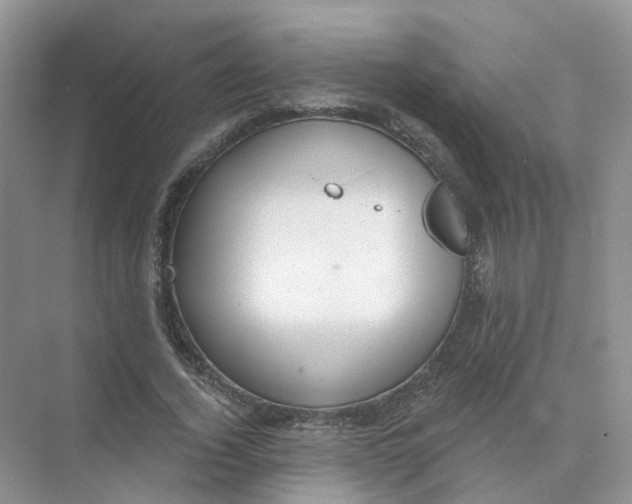 X0000073870732200608312052