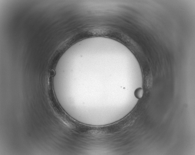 X0000073870733200608312052