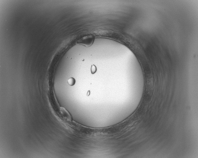 X0000073870734200608312052