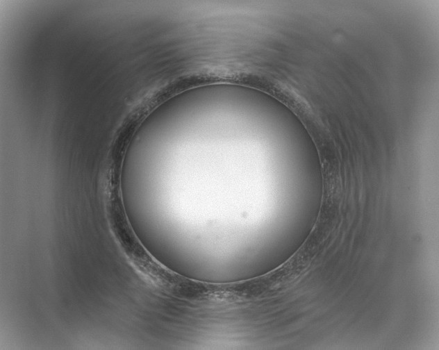 X0000073870736200608312052