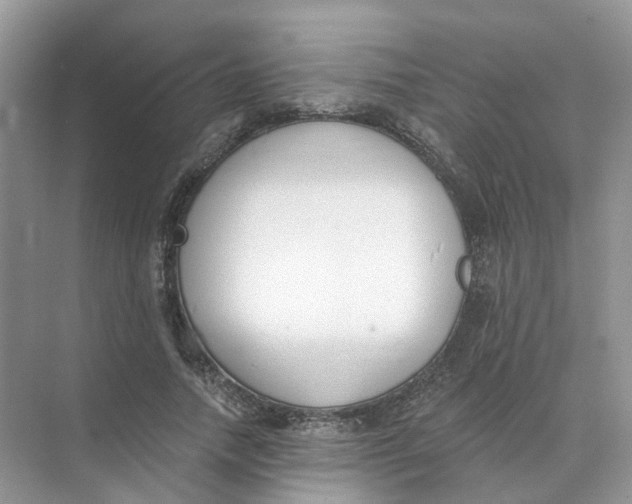 X0000073870738200608312052