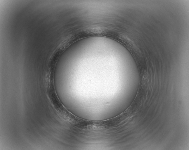 X0000073870739200608312052