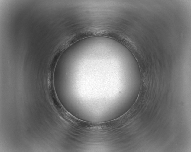 X0000073870740200608312052