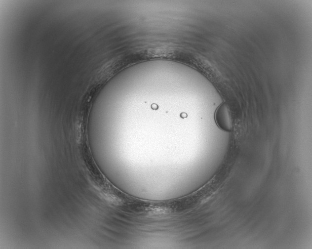 X0000073870741200608312052