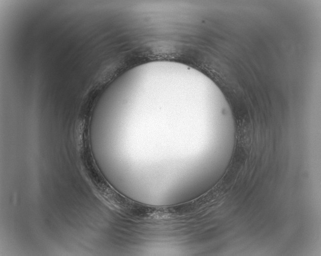 X0000073870742200608312052