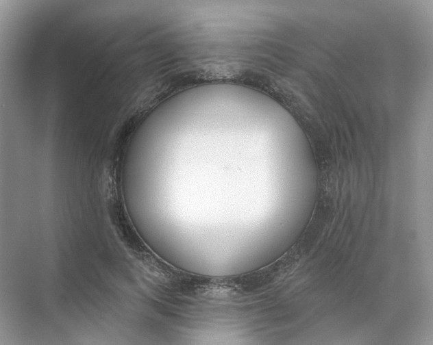 X0000073870743200608312052