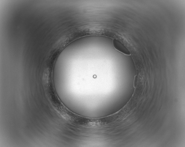 X0000073870744200608312052