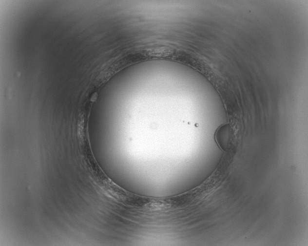 X0000073870745200608312052