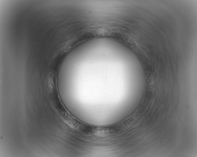 X0000073870746200608312052