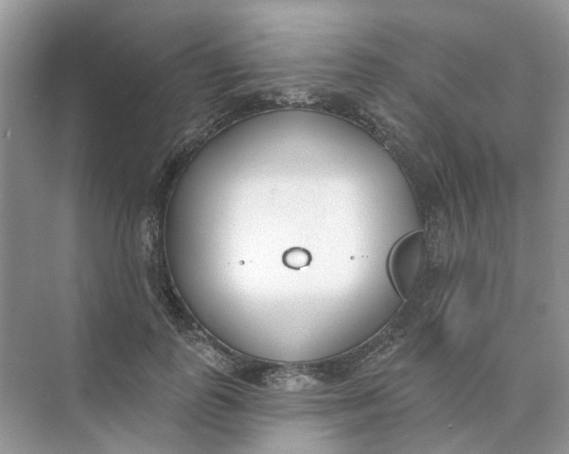 X0000073870747200608312052