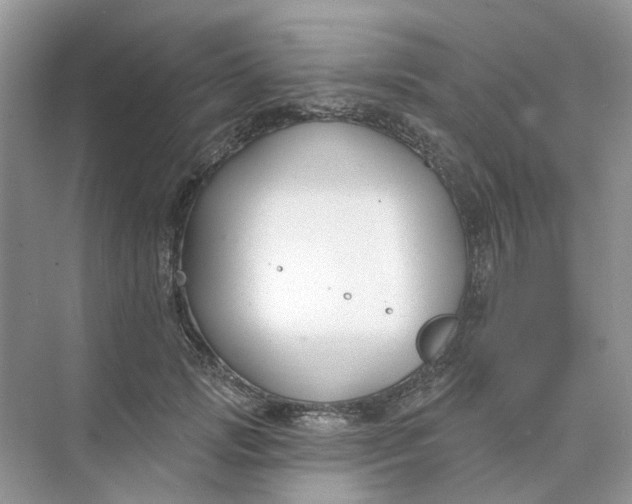 X0000073870749200608312052