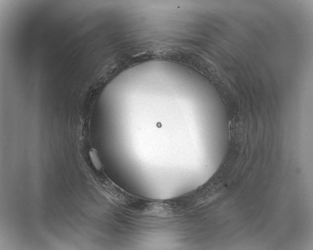 X0000073870750200608312052