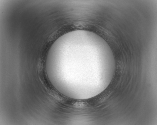 X0000073870751200608312052